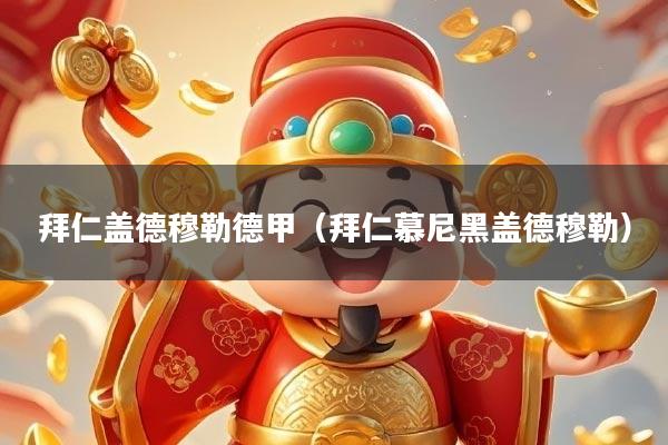 拜仁盖德穆勒德甲（拜仁慕尼黑盖德穆勒）