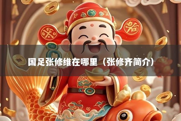国足张修维在哪里（张修齐简介）