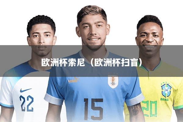 欧洲杯索尼（欧洲杯扫盲）